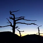 Tana Di Zia Nature, Yourself, *