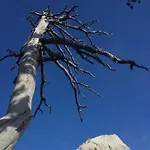 Tana Di Zia Nature, Yourself,