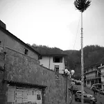 Tana Di Zia Nature, Yourself, Viggianello