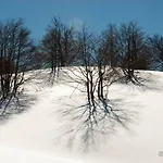 Tana Di Zia Nature, Yourself, *