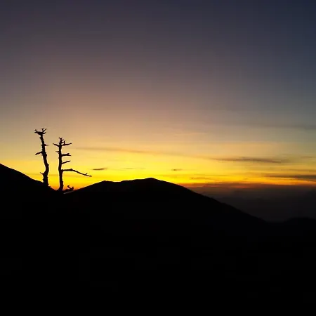 Tana Di Zia Nature, Yourself, 아파트 *