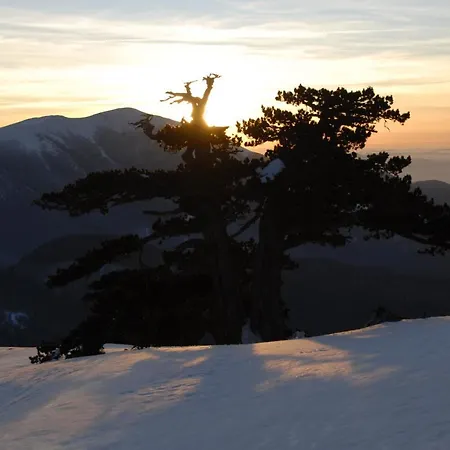 Tana Di Zia Nature, Yourself, * Viggianello