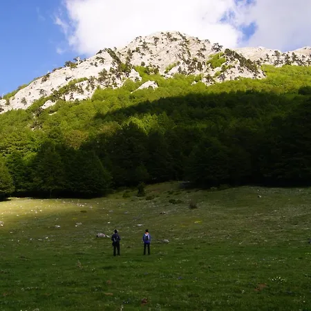 Apartman Tana Di Zia Nature, Yourself, Viggianello