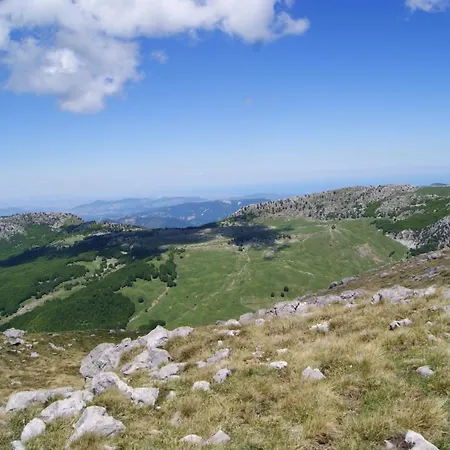 Tana Di Zia Nature, Yourself, *