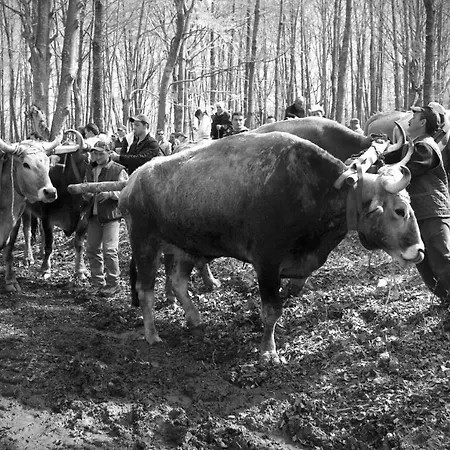 Appartement Tana Di Zia Nature, Yourself, *