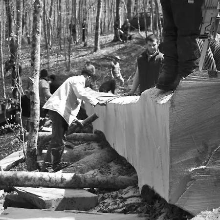 Apartman Tana Di Zia Nature, Yourself, Viggianello
