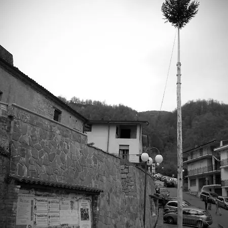 Tana Di Zia Nature, Yourself, Viggianello