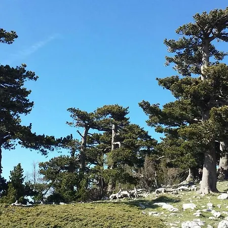 아파트 Tana Di Zia Nature, Yourself, *