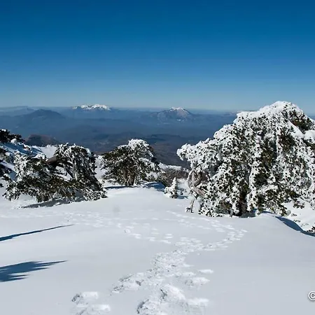 Tana Di Zia Nature, Yourself, Appartement Viggianello