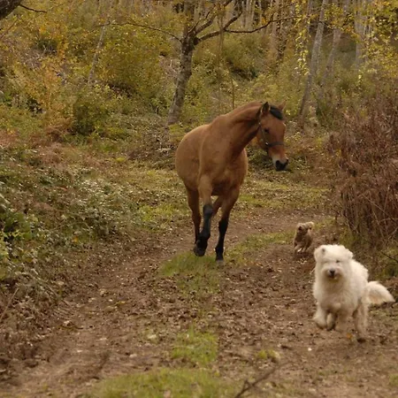 Appartement Tana Di Zia Nature, Yourself, Viggianello