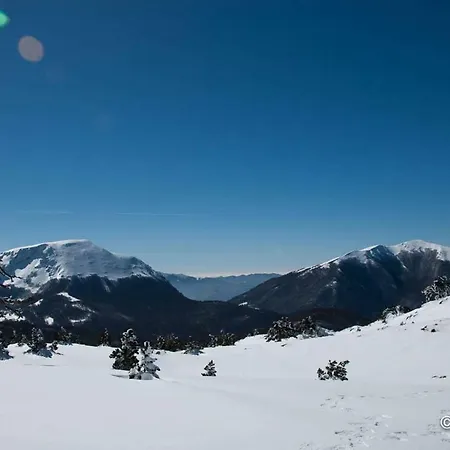 Tana Di Zia Nature, Yourself, Viggianello