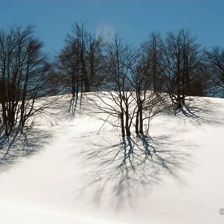 Tana Di Zia Nature, Yourself, *