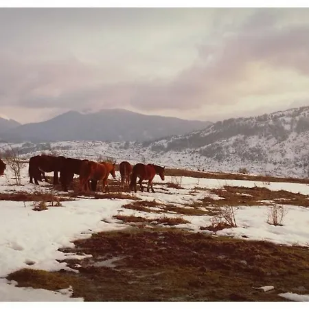 Tana Di Zia Nature, Yourself, Appartement *