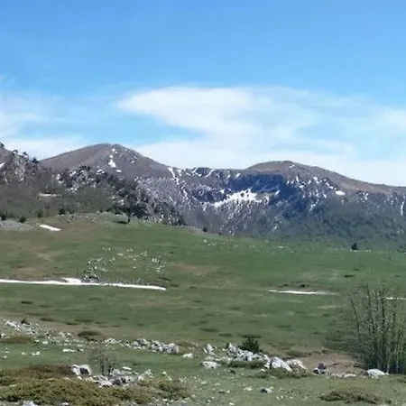 Tana Di Zia Nature, Yourself, * Viggianello