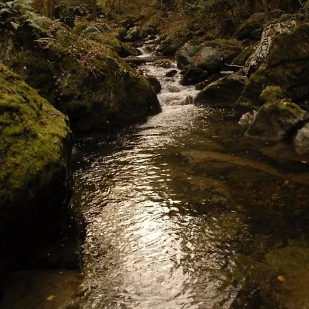 아파트 Tana Di Zia Nature, Yourself, 비자넬로
