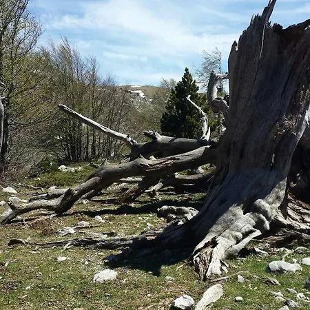 Appartement Tana Di Zia Nature, Yourself,