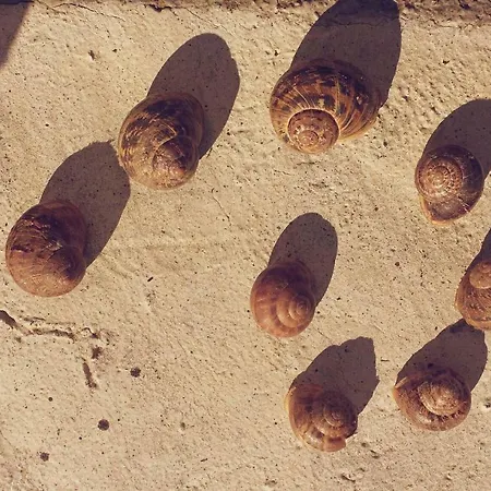 Tana Di Zia Nature, Yourself, Appartement