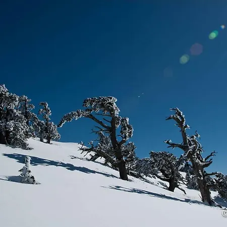 Tana Di Zia Nature, Yourself, * Viggianello