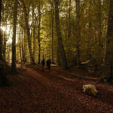 Tana Di Zia Nature, Yourself, Appartement Viggianello