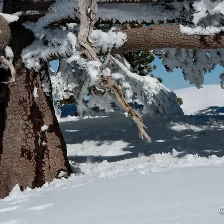 Appartement Tana Di Zia Nature, Yourself,