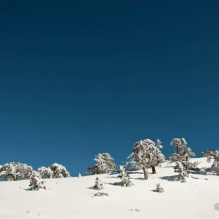 Tana Di Zia Nature, Yourself, Appartement Viggianello